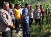 Kapolres Konawe Tinjau Lahan Jagung di Desa Walay, Dukung Ketahanan Pangan dan Kesejahteraan Petani