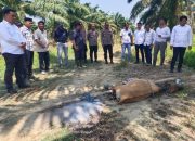 Mosehe Jadi Jalan Damai, Polres Konawe Kawal Penyelesaian Perselisihan di Perkebunan Sawit